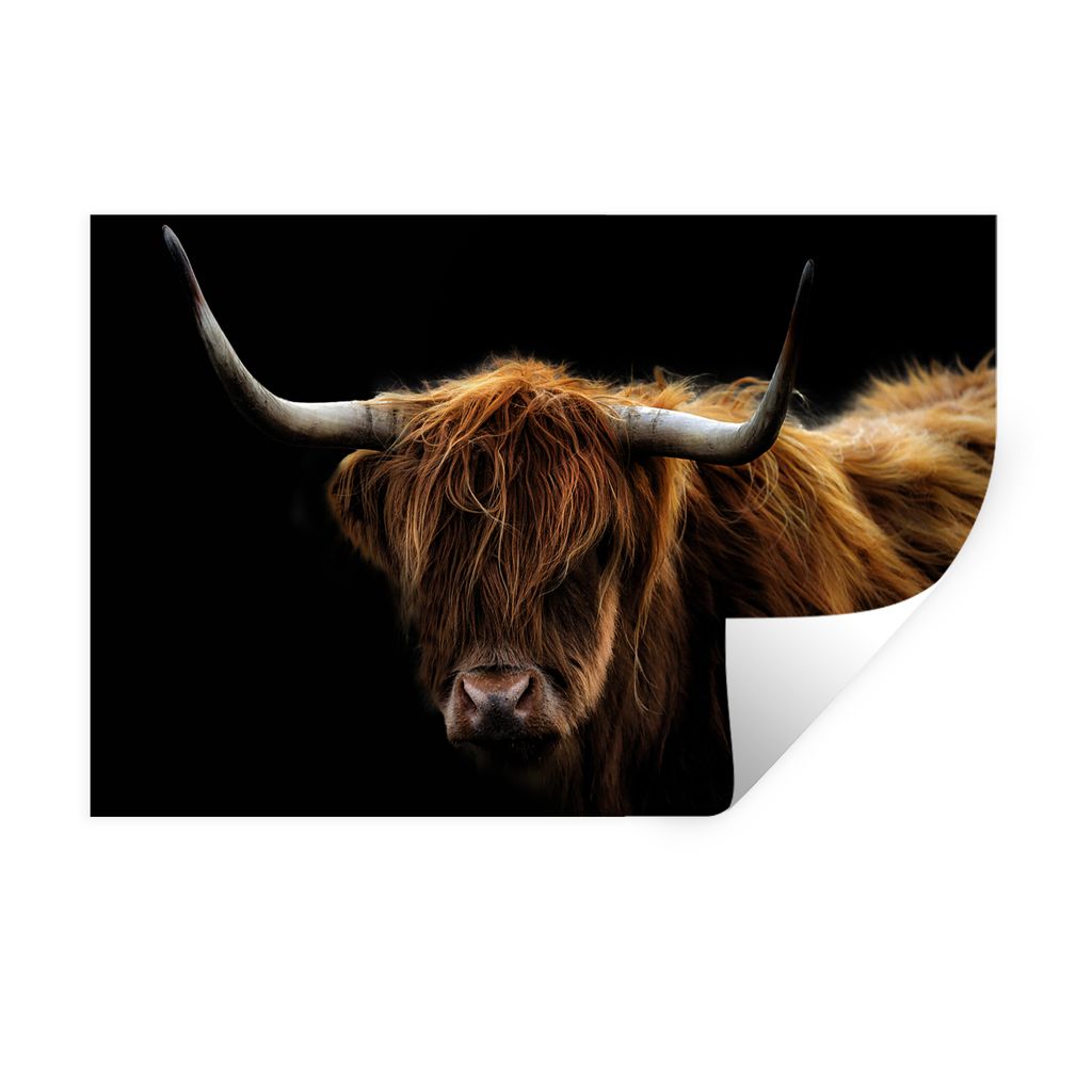 MuchoWow Wandtattoo Wandsticker Wandaufkleber Schottischer Highlander - Hörner - Schwarz - Tiere - Natur - Wild - Kuh 60x40 cm Selbstklebend und...