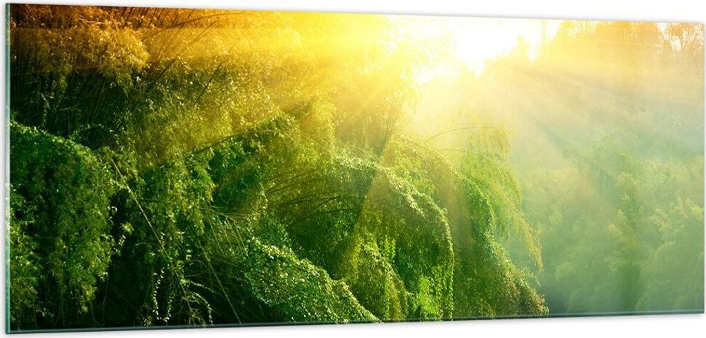 Bilder auf glas - Tropen Bäume Fluss - 100x40cm - Glasbilder - Wandbilder - Kunstdruck - zum Aufhängen bereit - Wanddekoration aus Glas - Glas Bi...