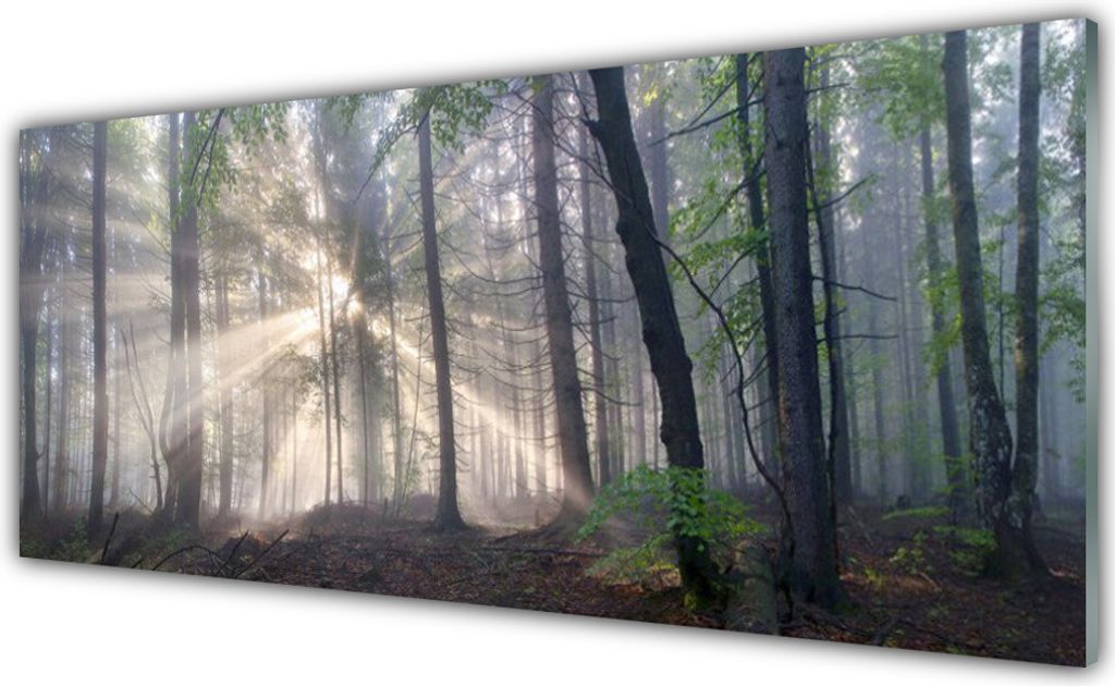 Küchenrückwand aus Glas 125x50cm Spritzschutz Wald Natur