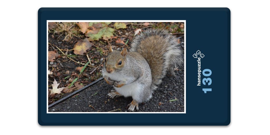 hansepuzzle 17894 - Kleiner Nager Puzzle, 130 Teile, Tierwelt, 28,7 x 20,0cm mit hochwertiger Aufbewahrung, Kartonbox & Beutel