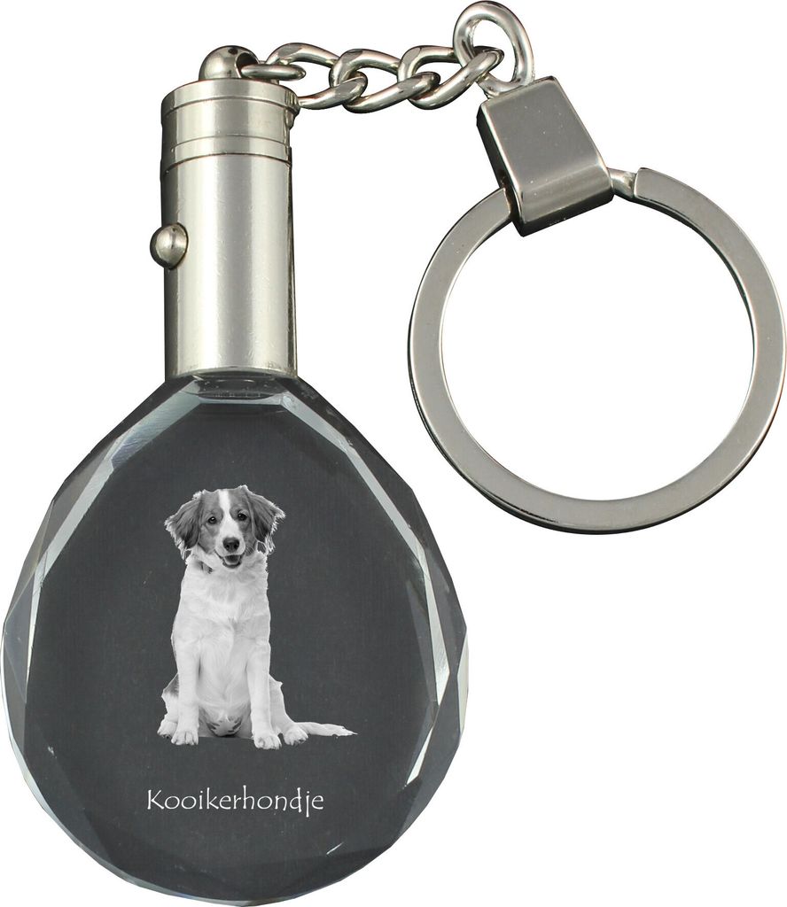 Kooikerhondje - Anhänger mit einem Foto eines Hundes, Schlüsselanhänger aus Kristall in einer Geschenkbox, ein einzigartiges Geschenk von Art-Dog