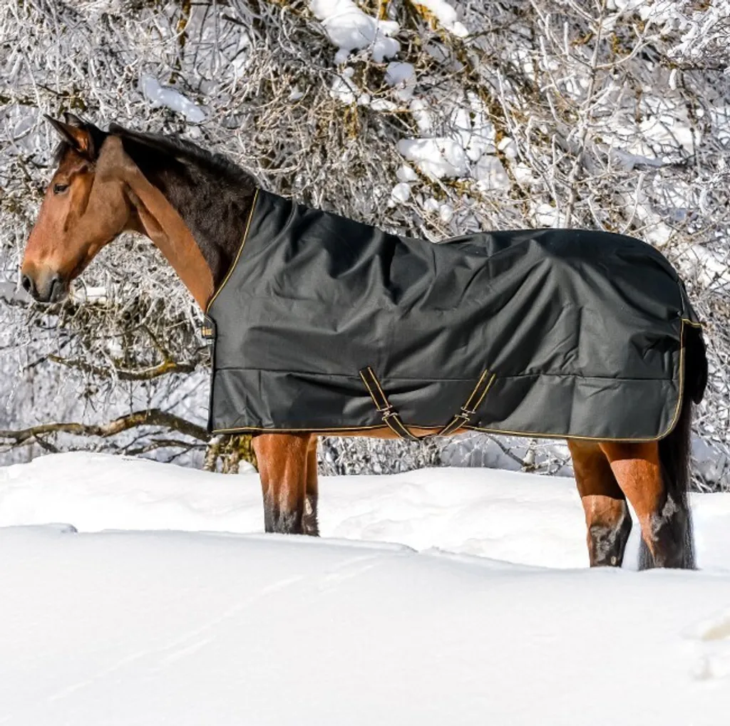 Couverture de pré hiver 300g Bucas Irish Turnout High Neck 1200D Noir 145