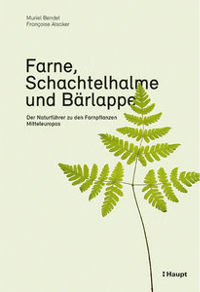 Identifier Fougères, Prêles et Lycopodes facilement grâce à ce guide