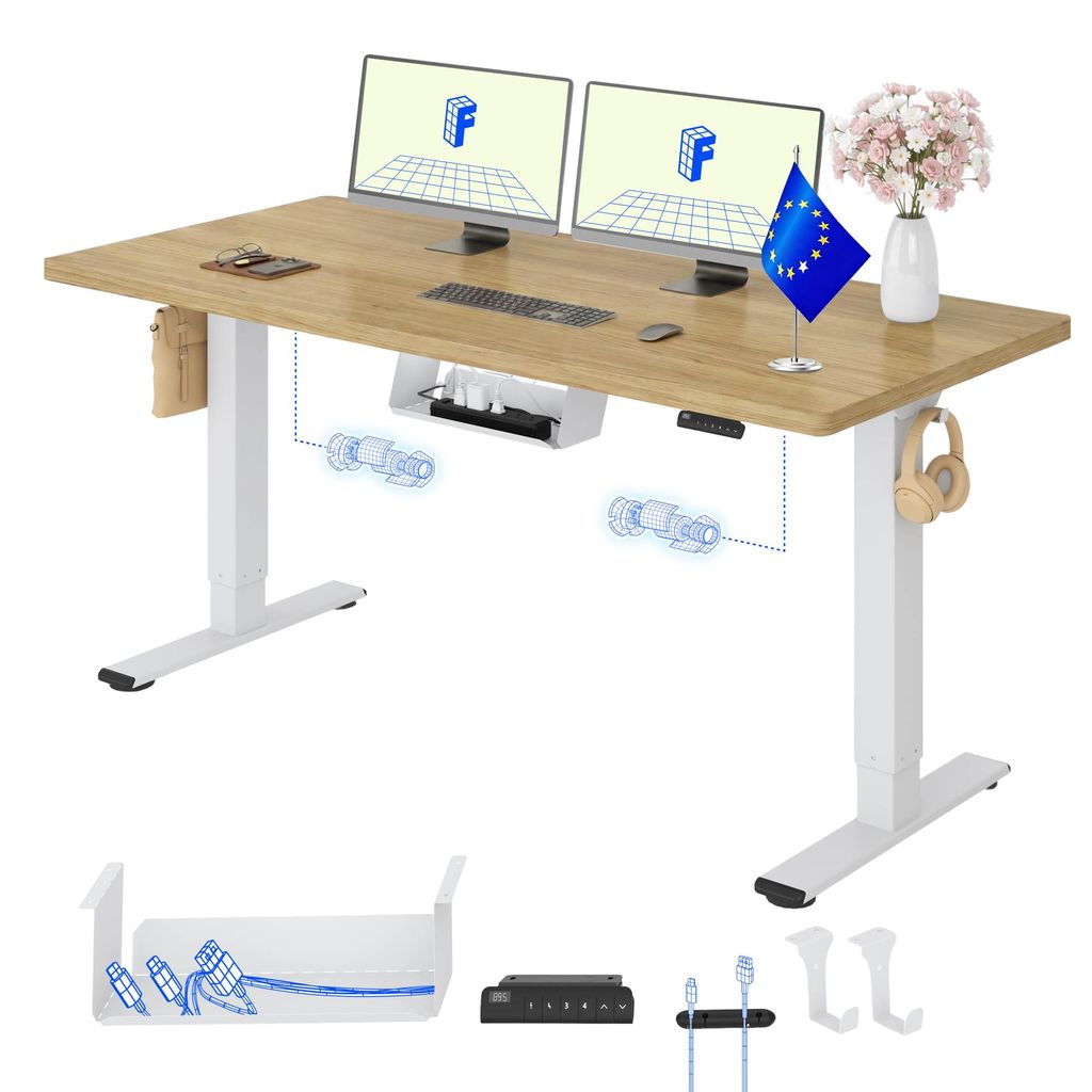 FLEXISPOT E1 Pro Elektrisch Höhenverstellbarer Schreibtisch Produktbild 