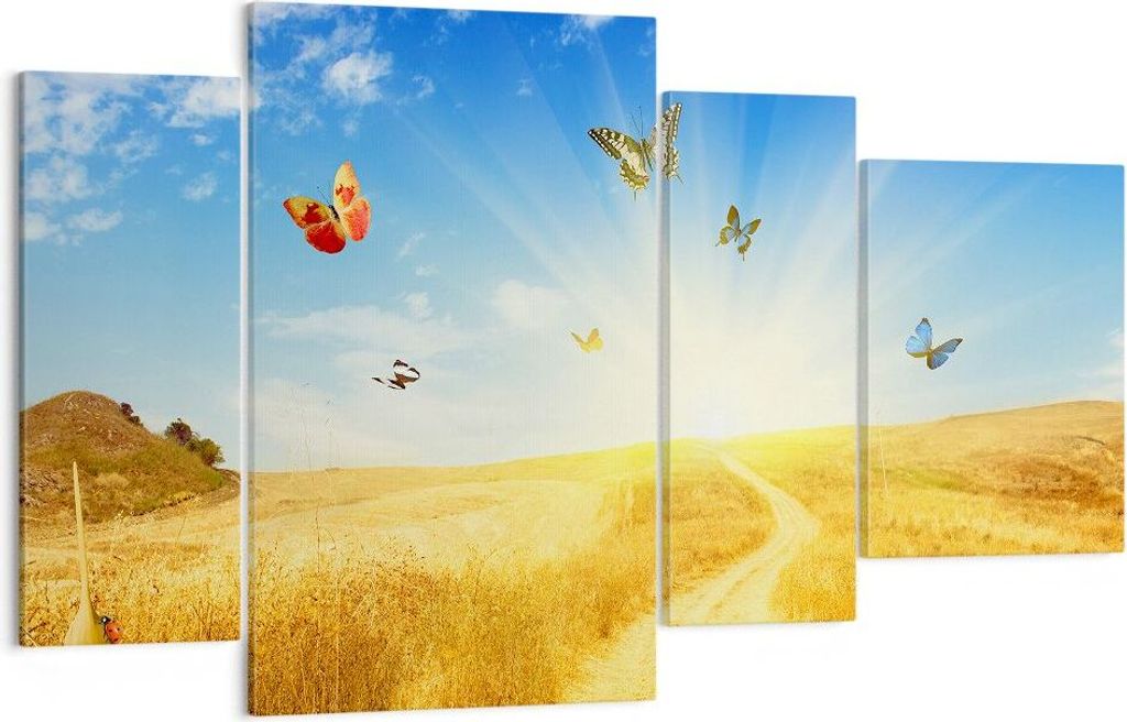 Bild auf Leinwand - Leinwandbild - Schmetterlinge Wiese Gras - 120x70cm - Wand Bild - Wanddeko - Leinwanddruck - Bilder - Kunstdruck - Wanddekorati...