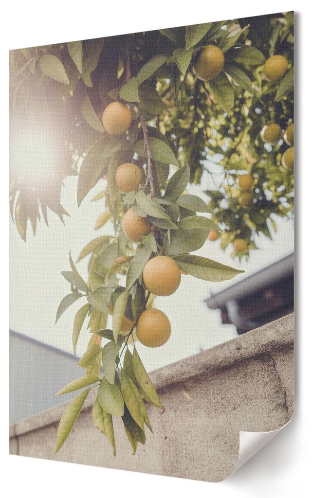 Sommerfrüchte- Kunstdruck A2 (42x59 cm) - Ausdrucksstark, rustikal, erotisch- Wandbild für Wohnzimmer Schlafzimmer & Flur, Modernes Poster Wandde...