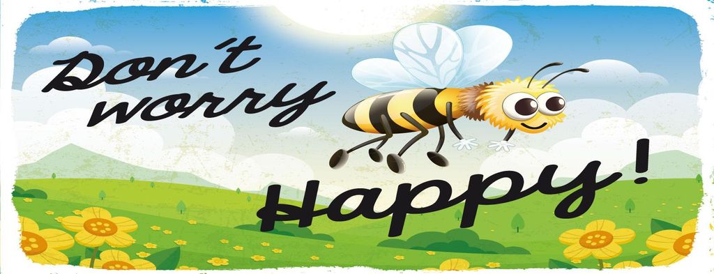 vianmo Blechschild 10x27 cm Don ́t worry bee happy Biene Wiese