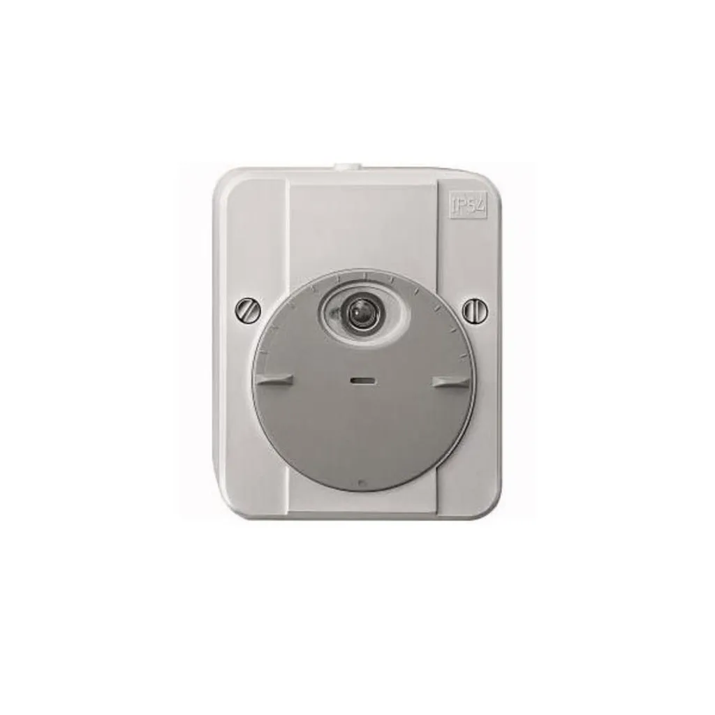 Capteur crépusculaire Merten ARGUS 544890 réglable avec boîtier IP54 gris