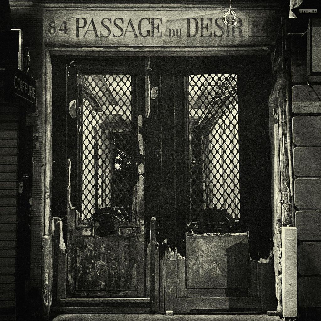 Johnny Blue Skies: Passage Du Desir - - (LP / P)