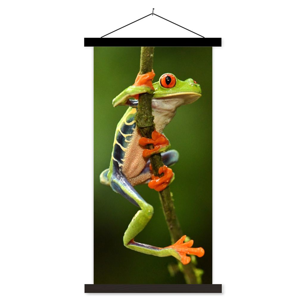 MuchoWow Textilposter Rotaugenlaubfrosch im Dschungel 40x80 cm mit schwarzem Rahmen - Wandemalerei