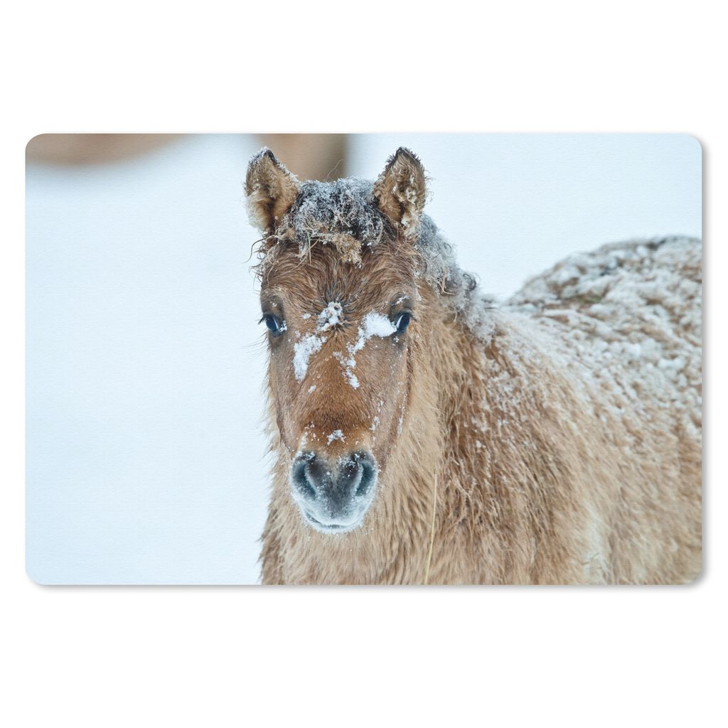 MuchoWow Schreibtischunterlage Junges Fjordpferd mit Schnee bedeckt 60x40 cm - XXL Mauspad - Großes Mauspad