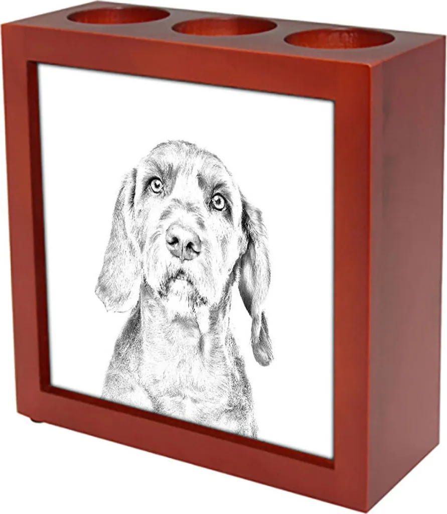 Vizsla a pelo duro - portamatite con cane, organizer da tavolo con stampa, decorazione personalizzata per tavolo del marchio Art-Dog