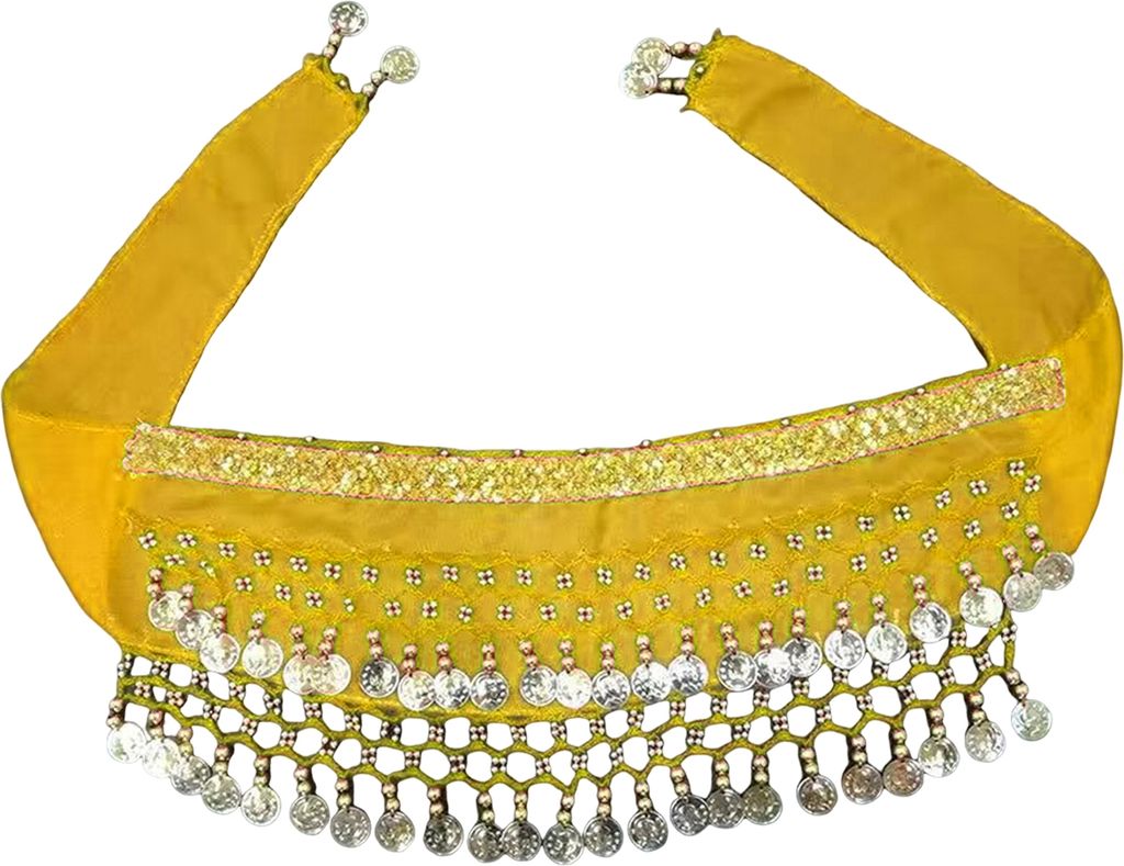 Hundetanzkostüm Corgi-Taillenkette Po-Vorhang Kleidung Haustier Pailletten Bauchtanz Requisite Welpe Schüttelnder Hüftschal für Halloween Leide...