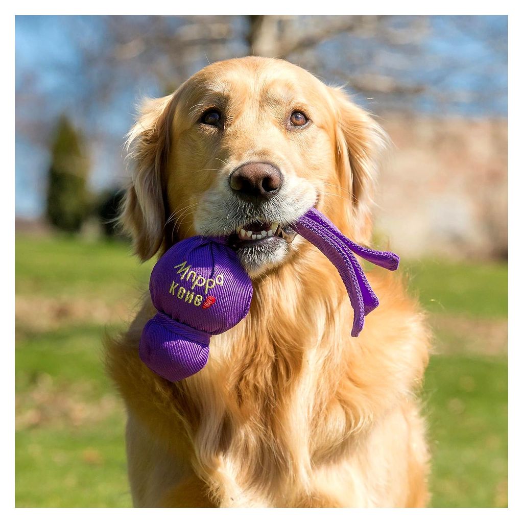 Wubba - Hundespielzeug für Zerrspiele und Apportieren - Zubehör für Welpen und Hunde - Für große Hunde