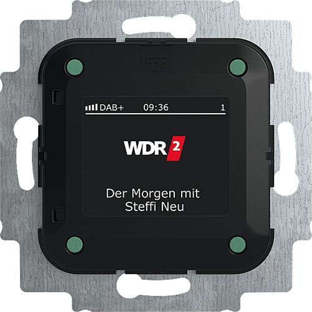 Busch-Jaeger Busch-Radio DAB+ 8215 U-101 (2CKA008200A0275)
