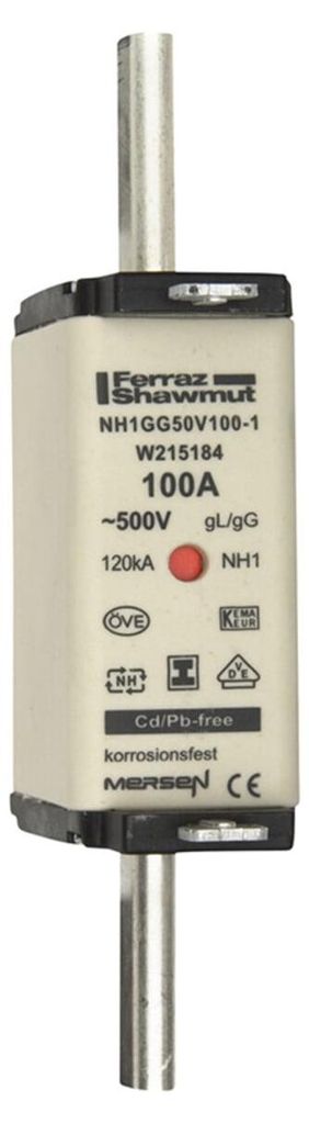 Mersen NH-Sicherungseinsatz SG NH1GG50V100-1 W215184
