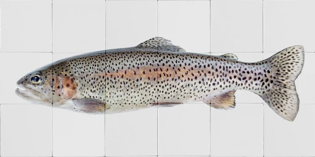 Decorazione Murale Pesce ESTAhome Rosa e Grigio - Sticker 97x48.5cm