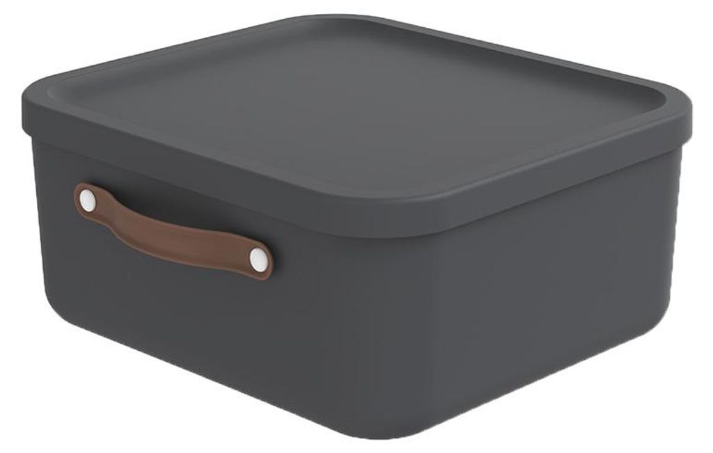 Rotho Aufbewahrungsbox 20 L Maloja - Kunststoffbox mit Produktbild 