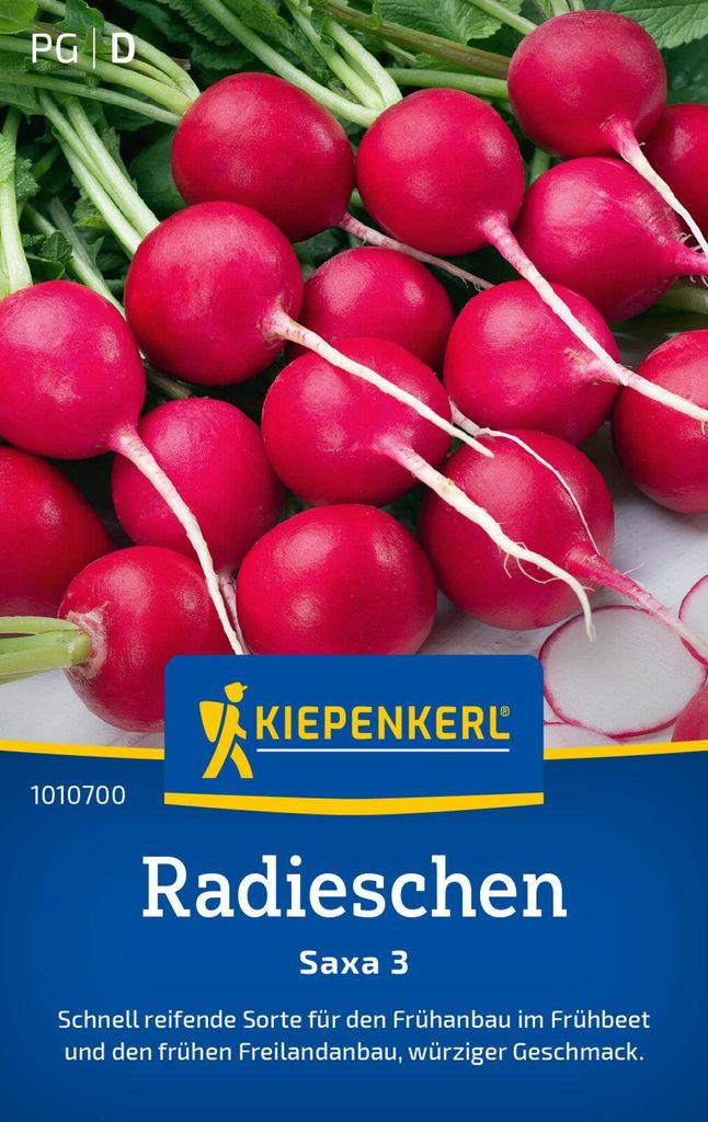 Kiepenkerl Radieschensamen Saxa 3 Raphanus sativus sativus 8-10 lfd. Meter