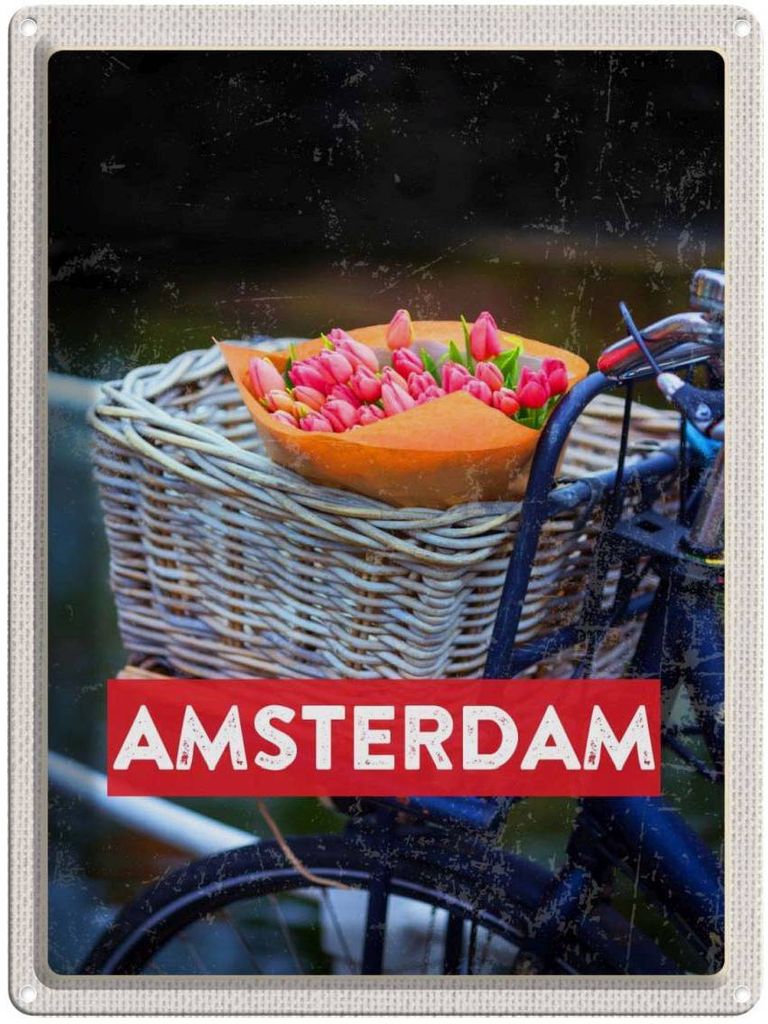 vianmo Blechschild 40x30 cm Retro Amsterdam Tulpen Fahrrad Bildmotiv Reisemotiv Abenteuer Reisen Europa Urlaub