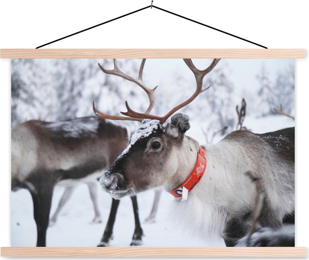 MuchoWow Textilposter Ein Rentier vor einem unscharfen Schneehintergrund 60x40 cm mit holzfarbenen Rahmen - Bilder