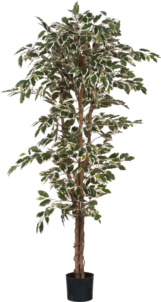 Grand Ficus Artificiel 170cm Mica Decorations Arbre Déco Intérieur