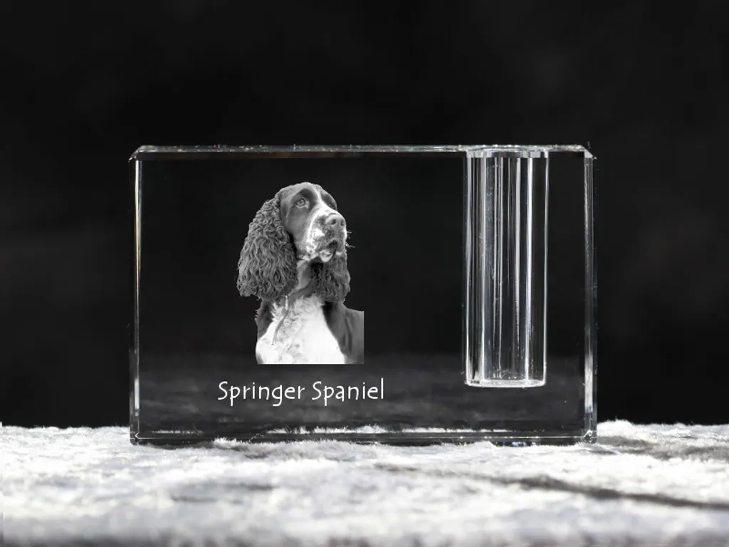 Organizzatore Scrivania Springer Spaniel Inglese - Cristallo di Lusso