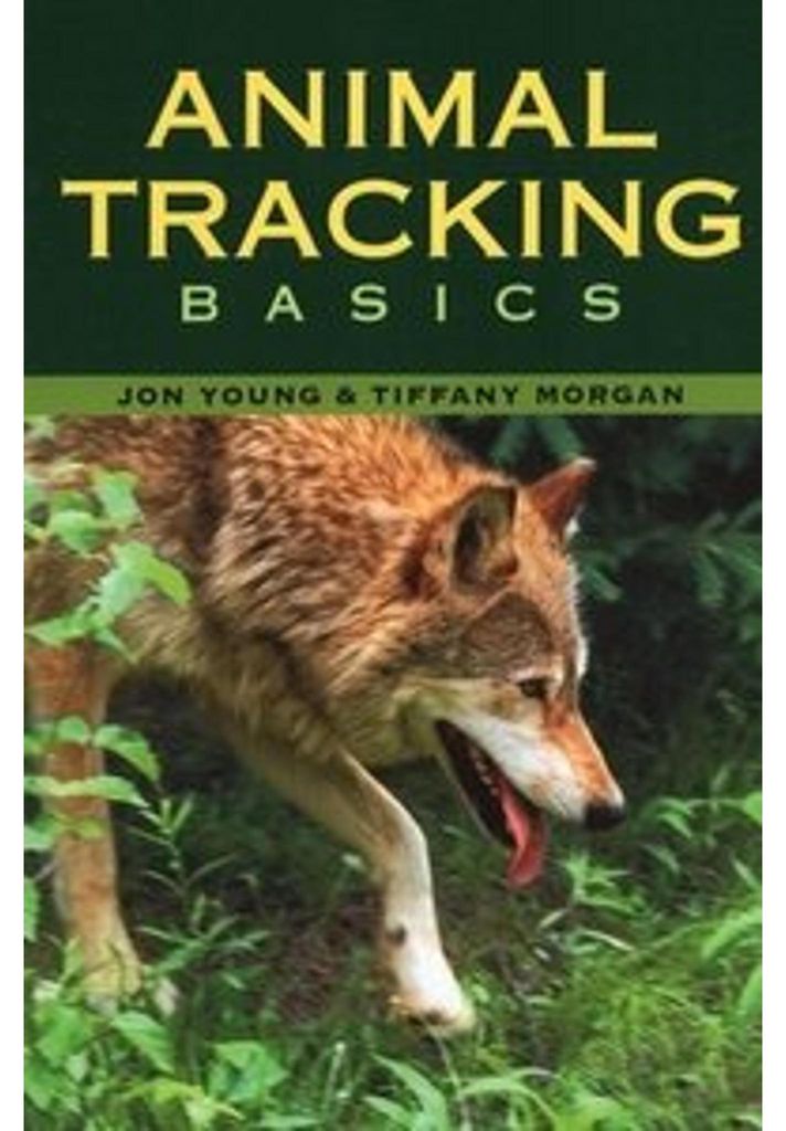 Animal Tracking Basics