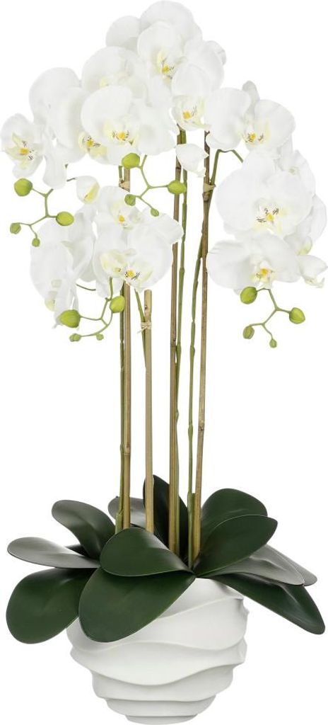 Mica Kunstpflanze Phalaenopsis weiß 82 cm