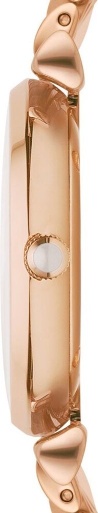 Dámské hodinky EMPORIO ARMANI AR1909 + KRABIČKA Obrázek produktu 