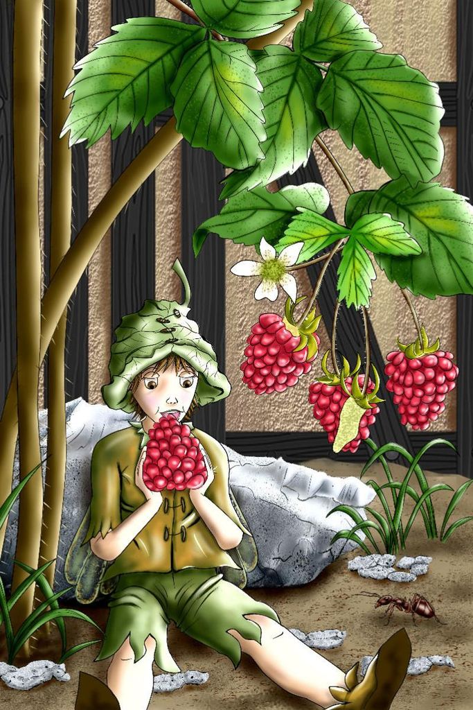 Premium Textil-Leinwand 120x80cm hoch Beeren-Elf | Wandbild, HD-Bild auf Keilrahmen, Fertigbild auf hochwertigem Vlies, Leinwanddruck von Monika St...