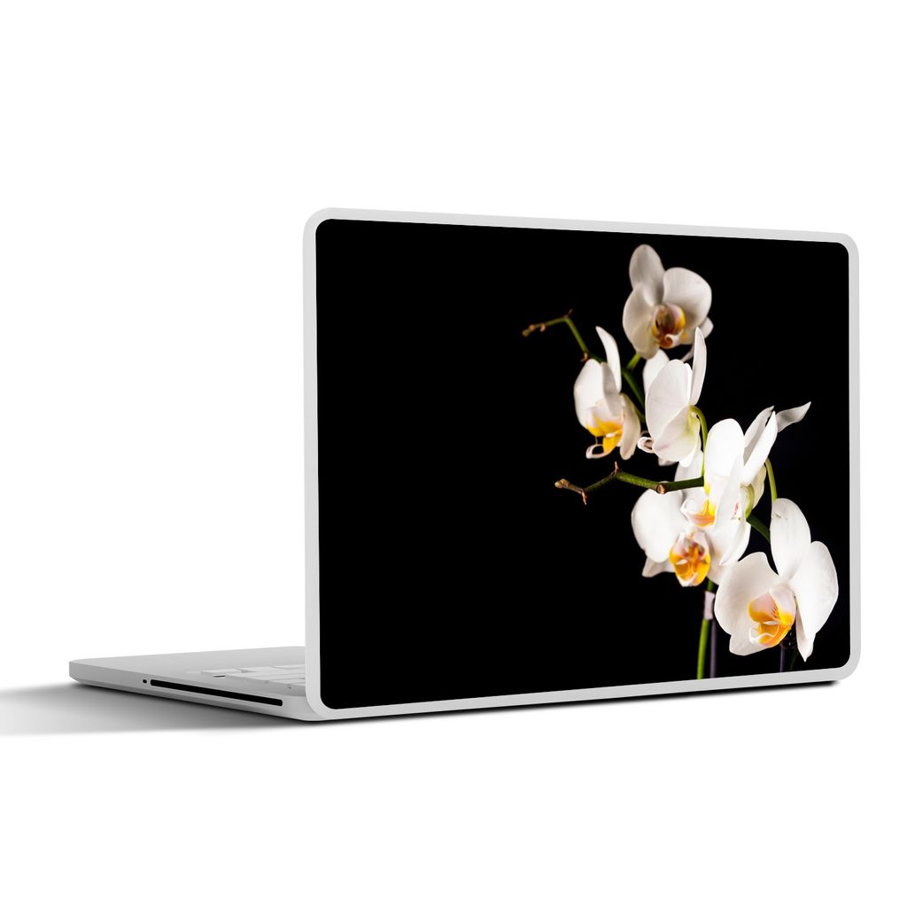 MuchoWow Laptop Aufkleber Sticker Cover Orchidee - Blumen - Pflanzen - Botanisch 25x18 cm - Laptop-Deko