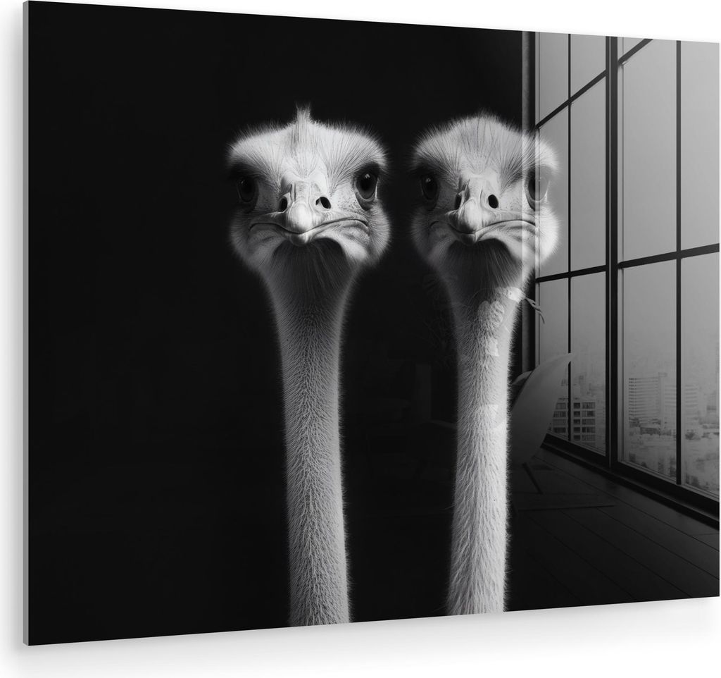 MuchoWow Glasbilder - Bilder auf Wandbild - Foto auf Glas Strauße - Hälse - Schwarz - Minimalistisch 40x30 cm Wanddekoration aus Glas - Acrylglas...