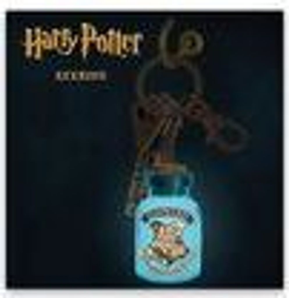 Harry Potter Schlüsselanhänger mit Taschenlampe
