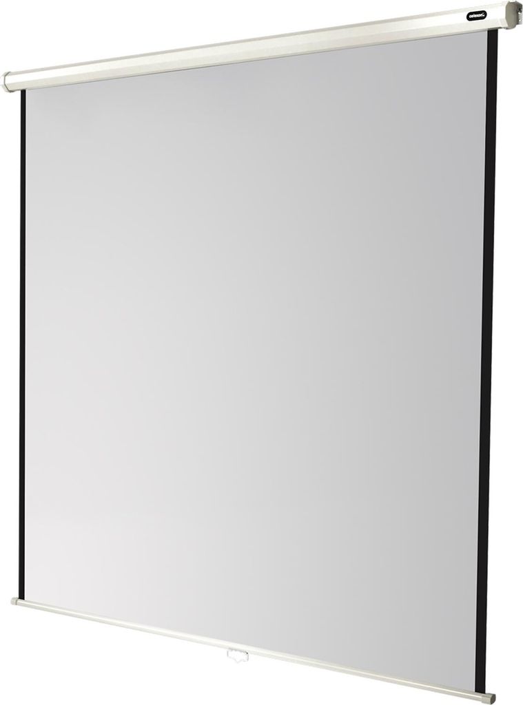 Celexon Leinwand Rollo Economy 160 x 160 cm Image du produit 