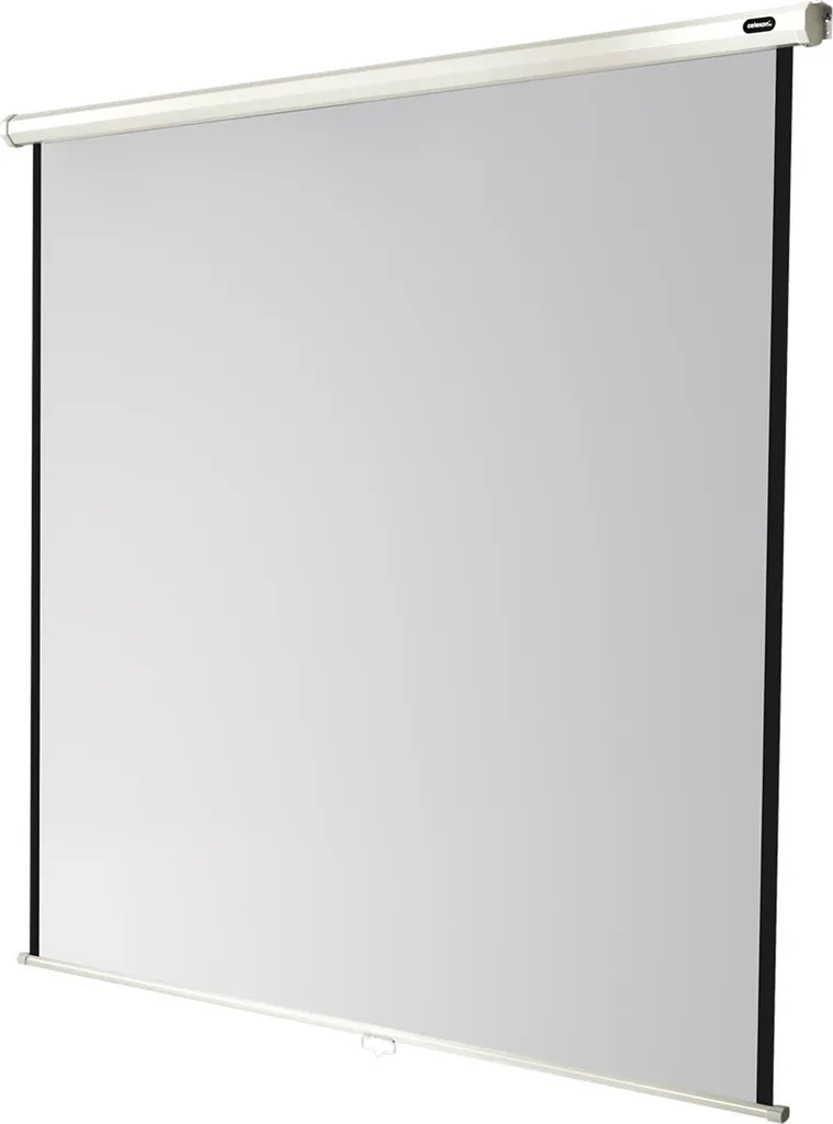 Celexon Leinwand Economy 160x160 | Schermo Professionale per Ufficio