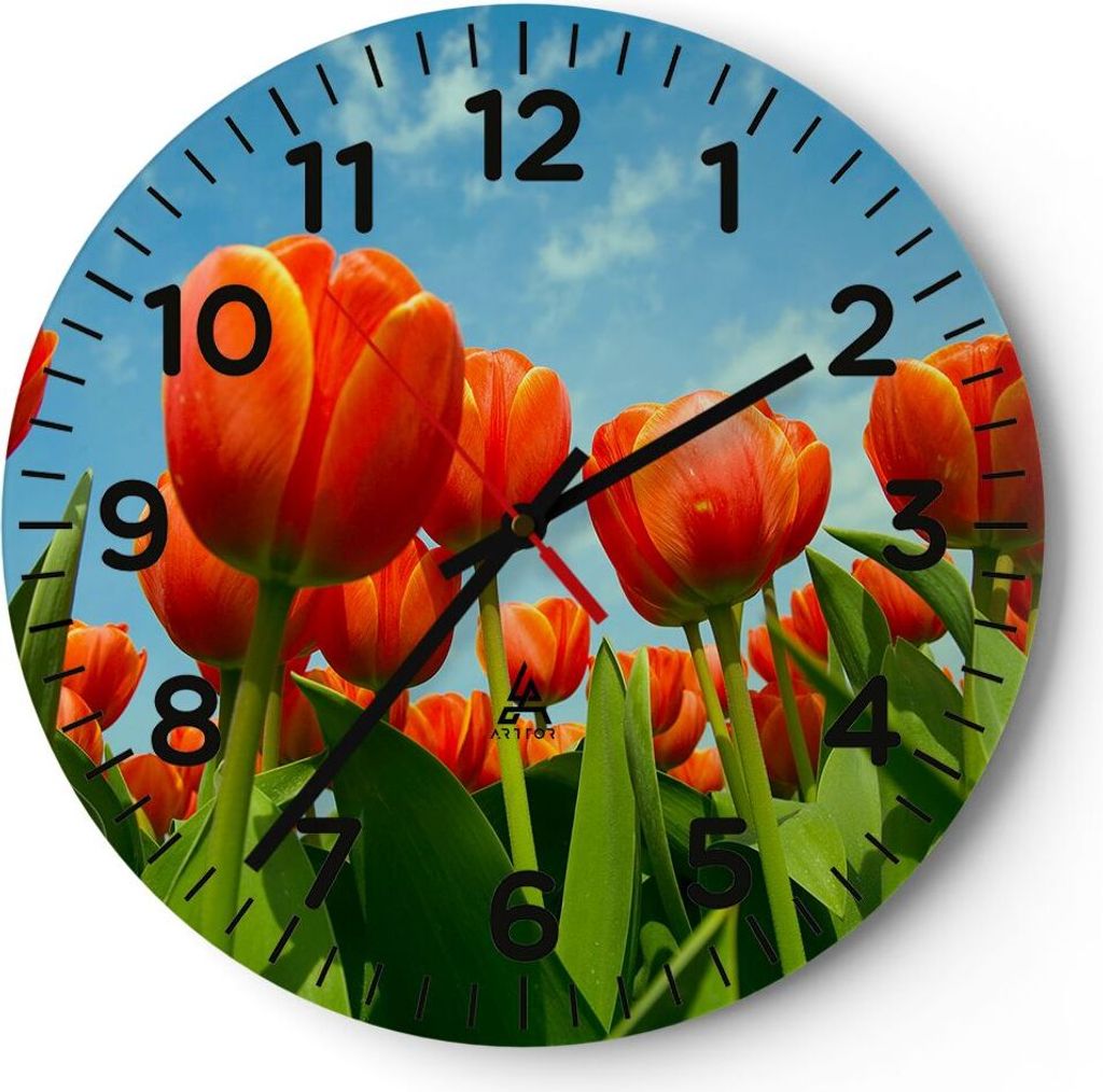 Wanduhr - Rund - Glasuhr - Tulpe Blume blauer Himmel - 40x40cm - Schleichendes Uhrwerk - Lautlos - zum Aufhängen bereit - Dekoration Modern - Wand...