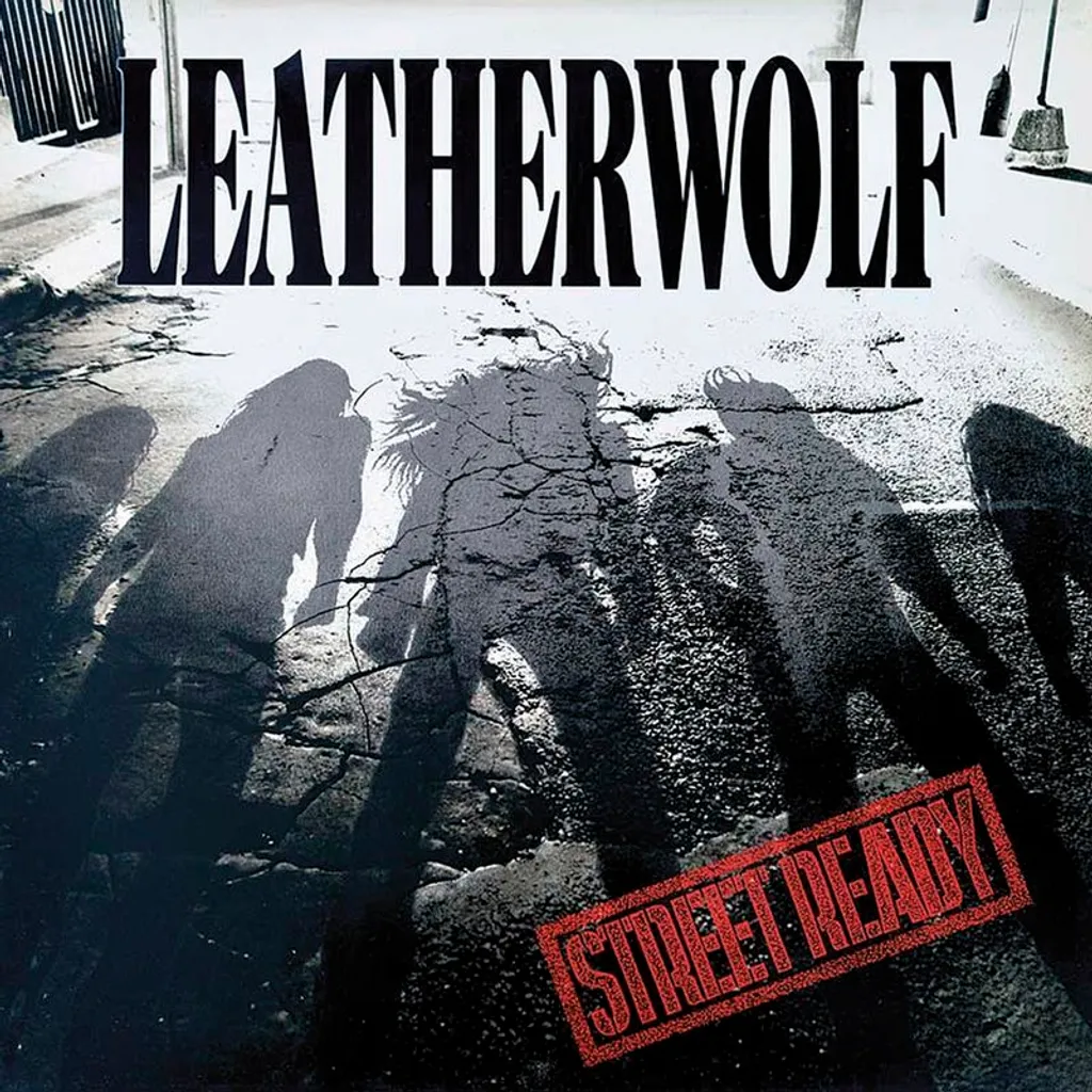 Blouson Cuir Leatherwolf : Solution Style et Protection pour le Quotidien