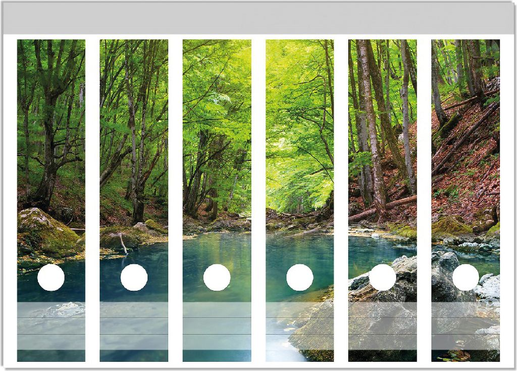 Wallario Ordnerrücken Sticker, selbstklebend für breite Ordner, 6 Stück, Motiv Klarer See im Wald