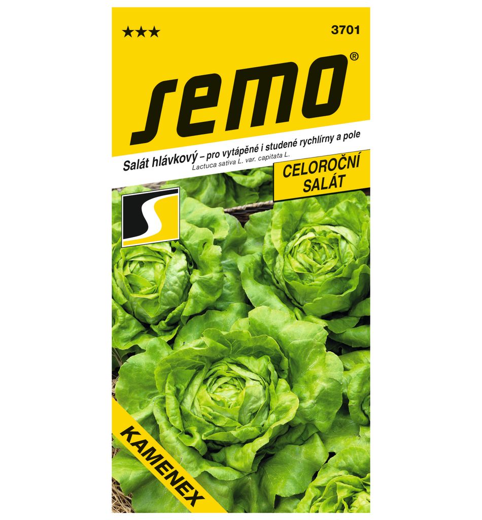 ŠALÁT HLÁVKOVÝ celoročný Kamenex Obrázok produktu 