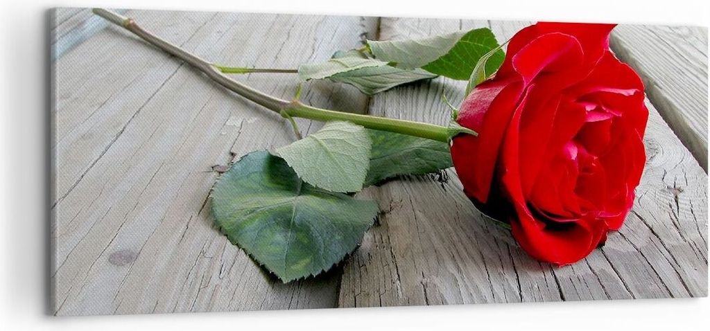 Bild auf Leinwand - Leinwandbild - Blume Holz Pflanze - 100x40cm - Wand Bild - Wanddeko - Leinwanddruck - Bilder - Kunstdruck - Wanddekoration - Le...