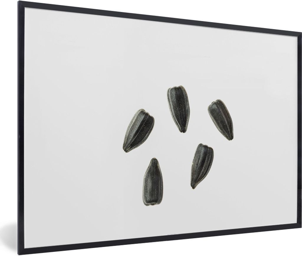 MuchoWow Gerahmtes Poster Schwarze Sonnenblumenkerne auf weißem Hintergrund 90x60 cm - Poster mit Schwarzem Bilderrahmen Wandposter Rahmen Foto ...
