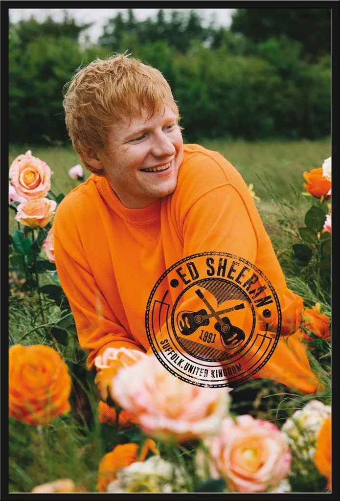 Affiche Ed Sheeran 61x91,5 cm encadrée noir : fini les posters pliés