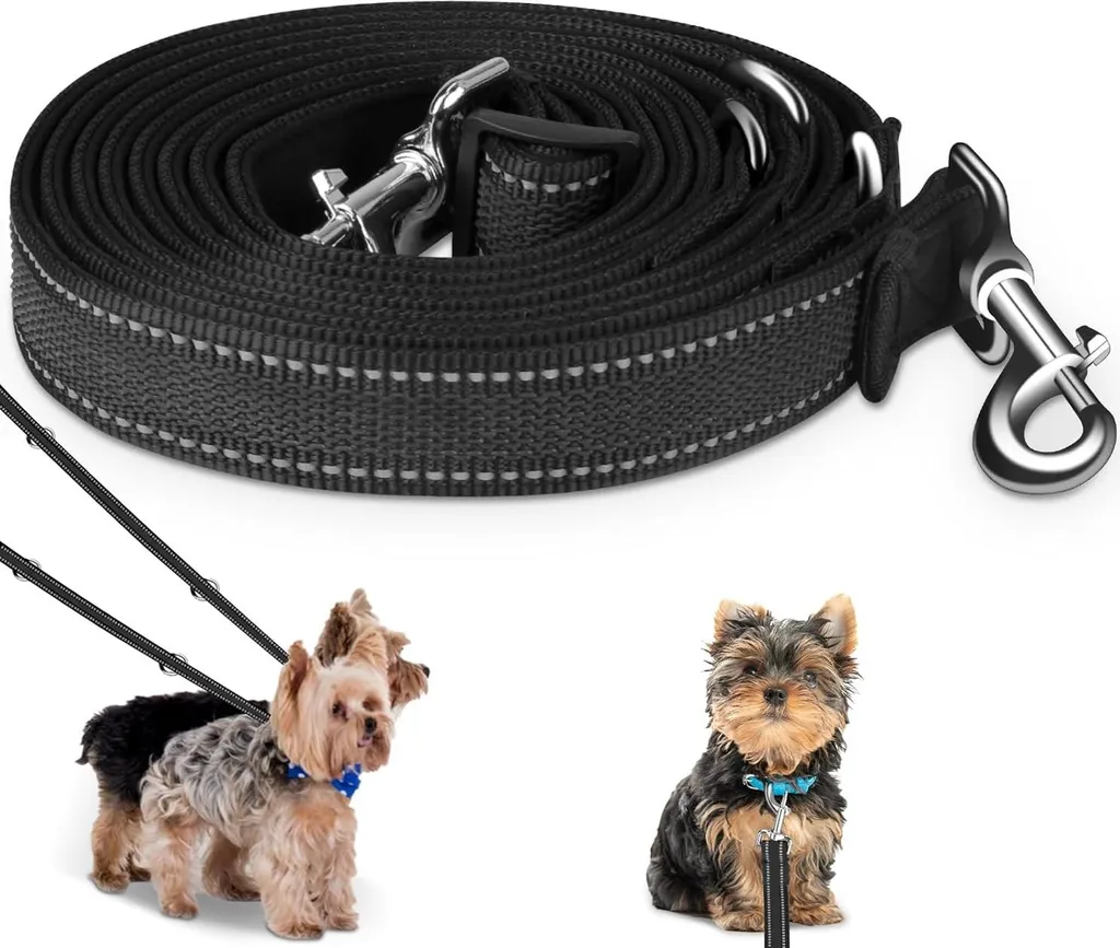 Accouple double pour deux chiens en nylon réglable et réfléchissant 3m