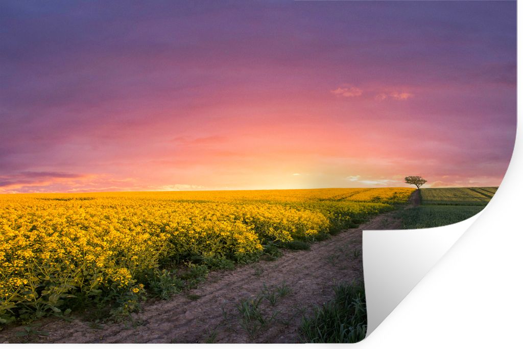 MuchoWow Wandtattoo Wandsticker Wandaufkleber Blumen - Straße - Himmel - Gelb - Lila - Sonnenuntergang - Natur 90x60 cm Selbstklebend und Reposi...