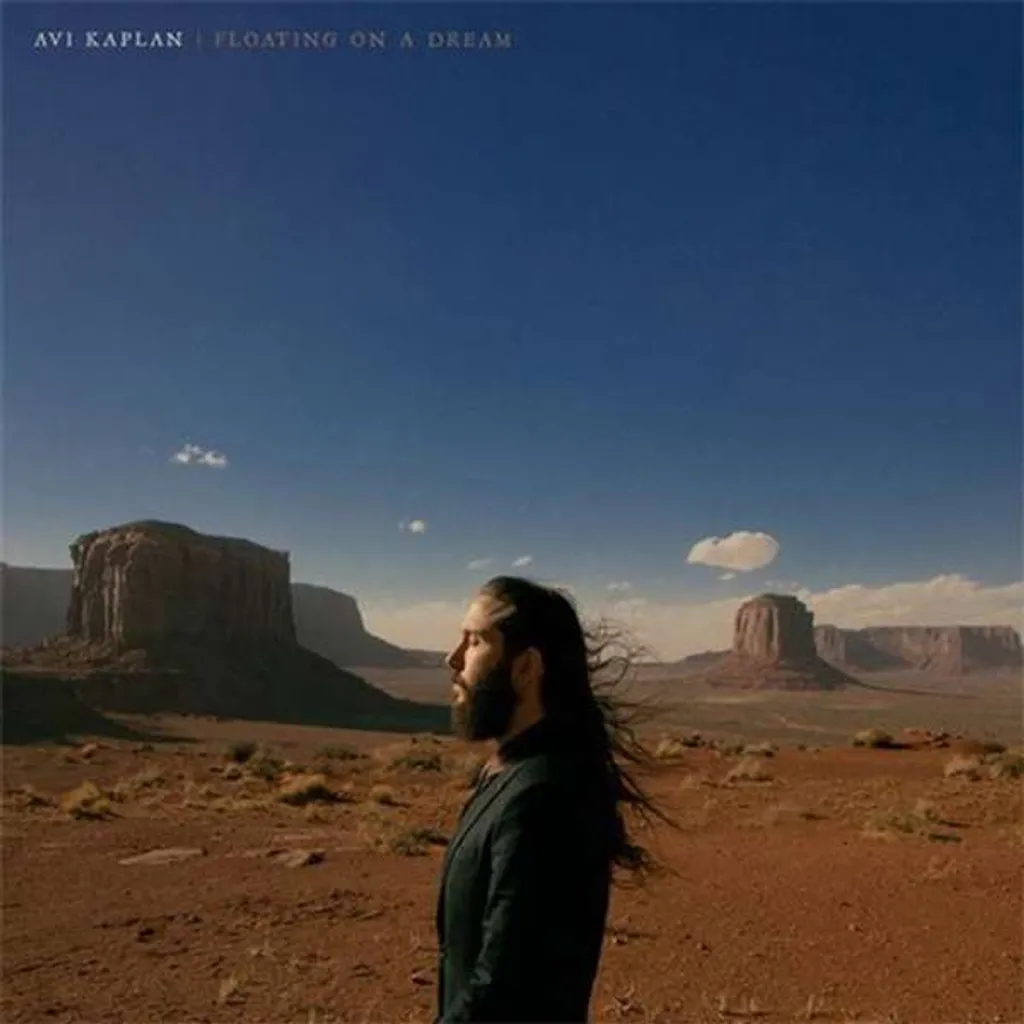 Avi Kaplan Floating On A Dream Vinyle 180g Idéal pour écoute Hi-Fi Folk