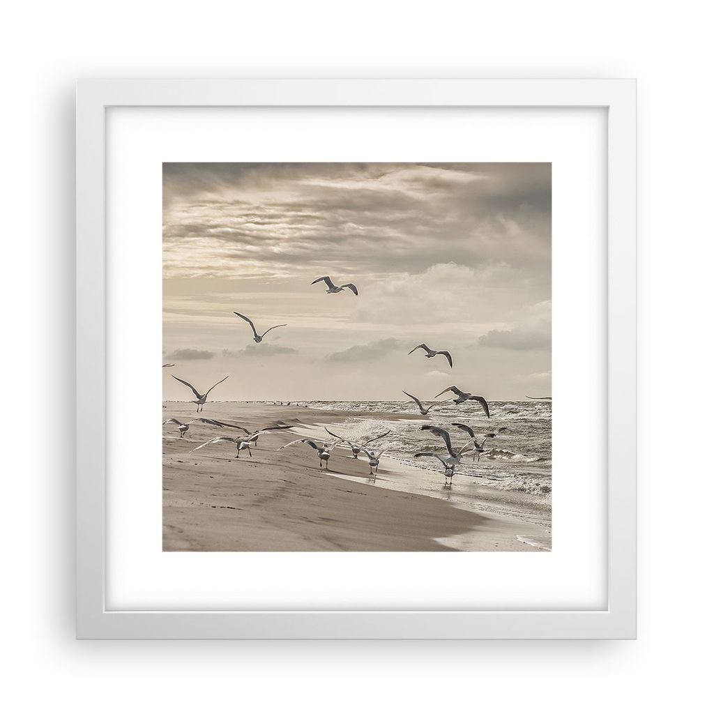 Gerahmtes Poster - Weißer Rahmen - Möwen Küste Boho - 30x30 cm - Wand Bild - Wanddeko - Wandbilder - Kunstposter - Wandposter - Bilderrahmen - B...