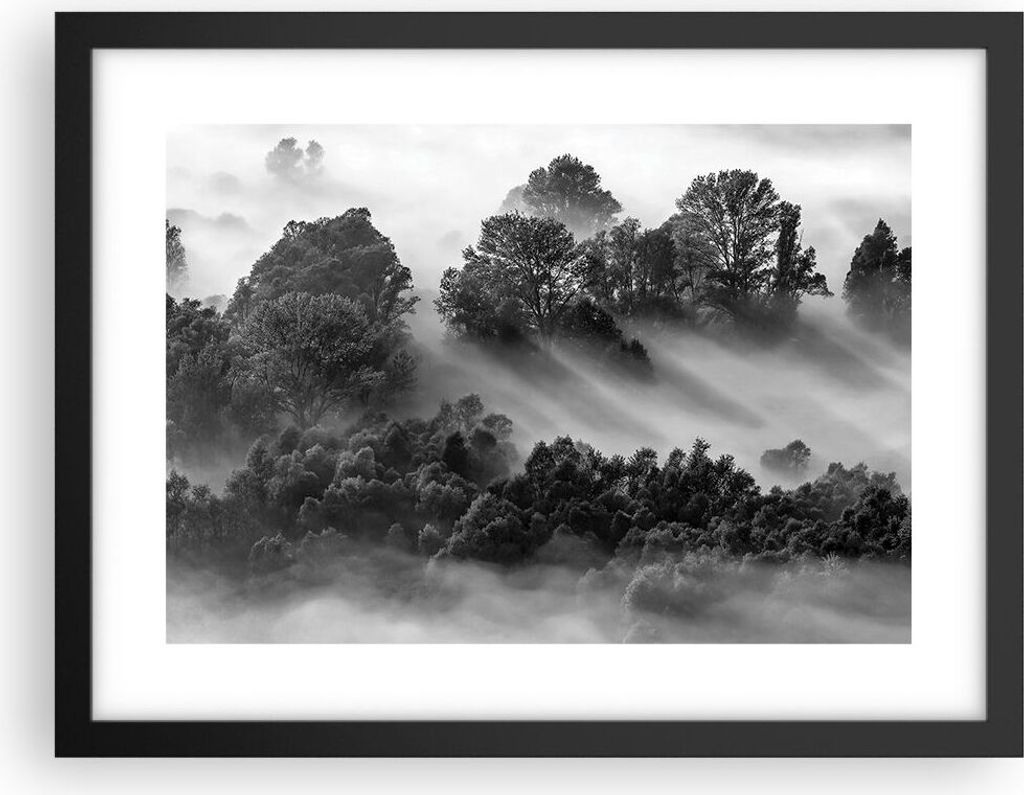 Gerahmtes Poster - Schwarzer Rahmen - Schwarzweiß Bäume Nebel - 40x30 cm - Wand Bild - Wanddeko - Wandbilder - Kunstposter - Wandposter - Bilderr...