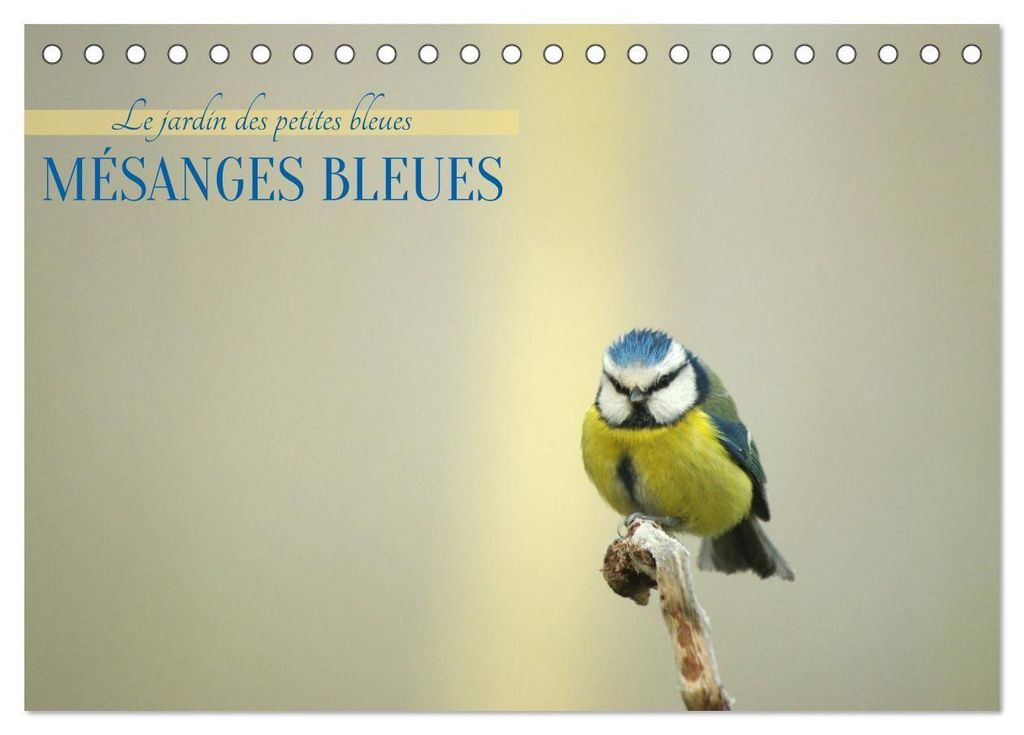 Mésanges bleues (Calendrier de bureau 2027 DIN A5 vertical), CALVENDO calendrier mensuel
