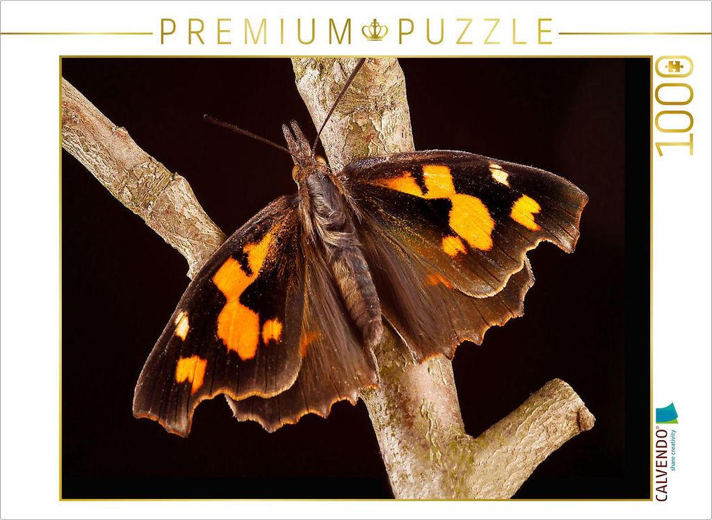 CALVENDO Puzzle Zürgelbaumfalter (Libythea celtis) 1000 Produktbild 